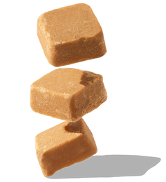 Vanilla Fudge